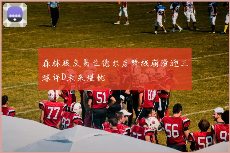 森林狼交易兰德尔后锋线崩溃迎三球评D未来堪忧