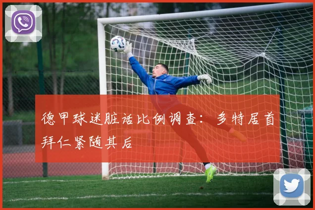 德甲球迷脏话比例调查:多特居首拜仁紧随其后